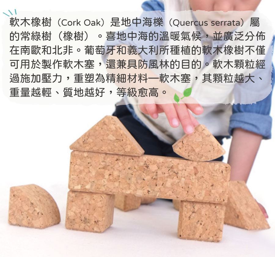 拿來製作木質積木的軟木塞，是軟木橡樹（Cork Oak）是地中海櫟（Quercus serrata）屬的常綠樹（橡樹）皮。喜地中海的溫暖氣候，並廣泛分佈在南歐和北非。葡萄牙和義大利所種植的軟木橡樹不僅可用於製作軟木塞，還兼具防風林的目的。軟木顆粒經過施加壓力，重塑為精細材料—軟木塞，其顆粒越大、重量越輕、質地越好，等級愈高。